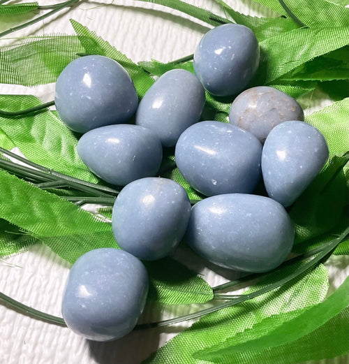 Angelite - Tumbled (Peru, 3/4")