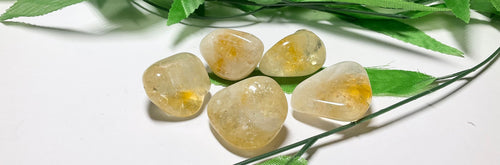 Citrine - Tumbled (Brazil, 1" To 1-1/2")