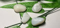 White Opal - Tumbled (Brazil, 3/4" To 1")