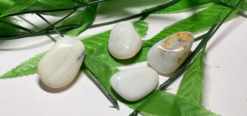 White Opal - Tumbled (Brazil, 3/4" To 1")