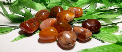 Carnelian Tumbled (Brazil, 1" To 1-1/4")